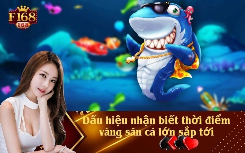 Dấu hiệu nhận biết thời điểm vàng săn cá lớn sắp tới