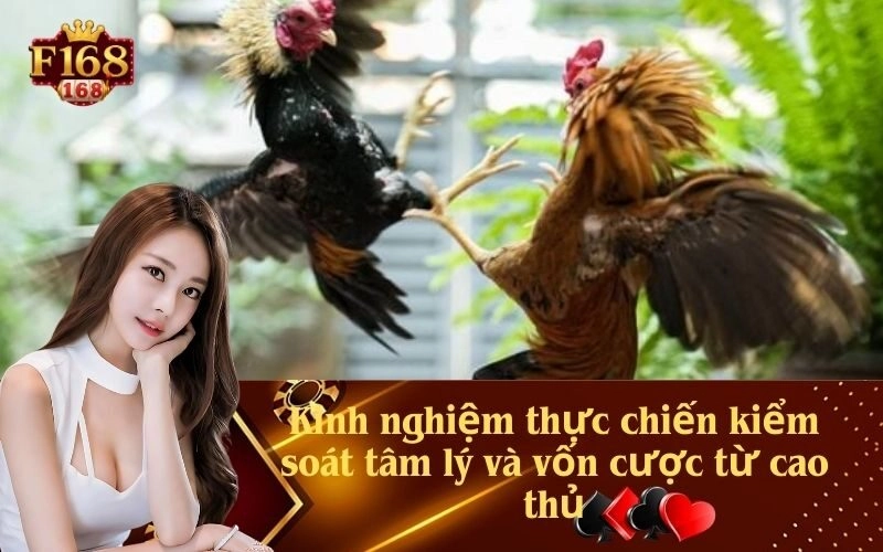 Kinh nghiệm thực chiến kiểm soát tâm lý và vốn cược từ cao thủ