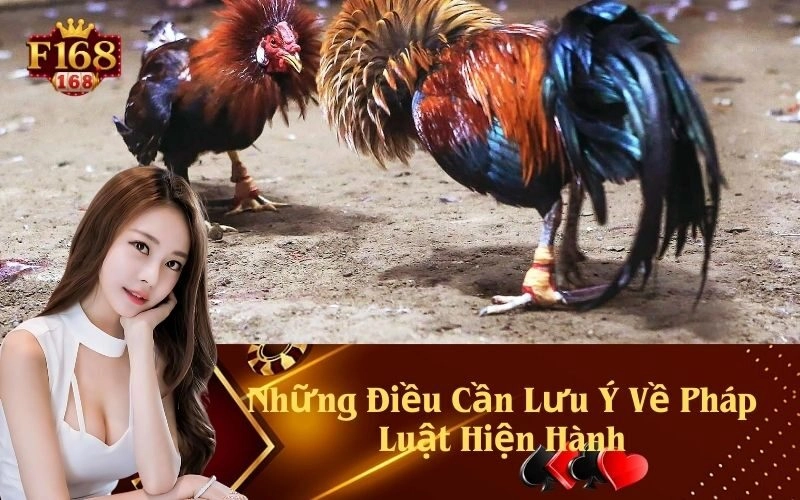 Những Điều Cần Lưu Ý Về Pháp Luật Hiện Hành