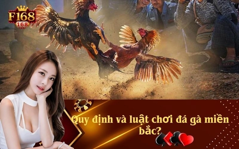 Quy định và luật chơi đá gà miền bắc?