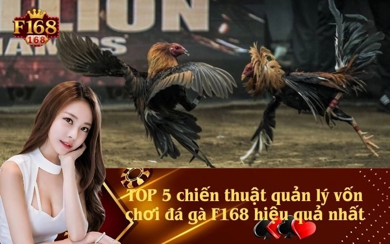 TOP 5 chiến thuật quản lý vốn chơi đá gà F168 hiệu quả nhất